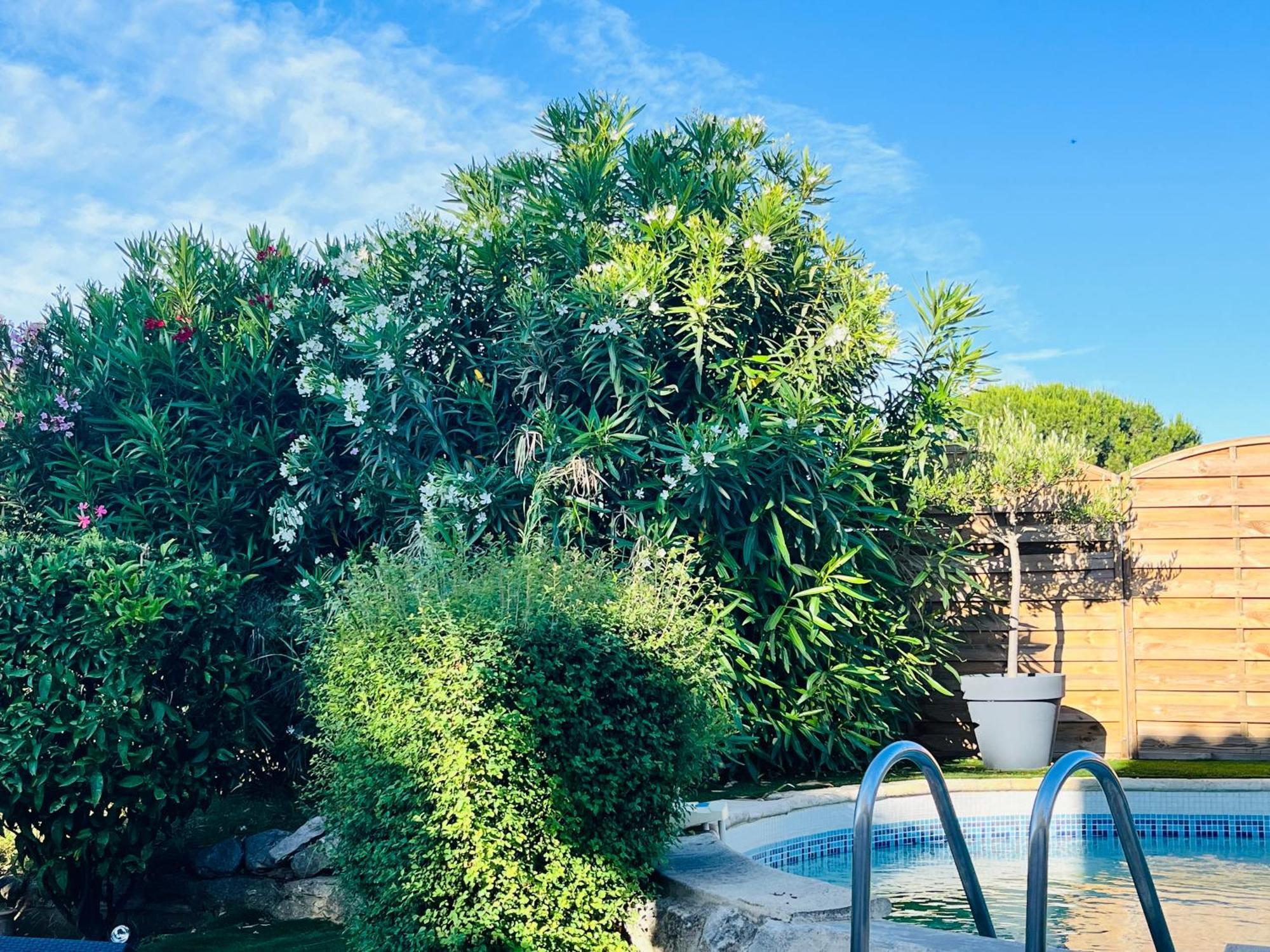 Piscine Cosy, 3 Chambres, 3 Sdb, Havre De Paix A 10 Min Des Plages Mauguio Luaran gambar